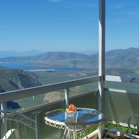 Hotel Zeus Delphi Ngoại thất bức ảnh